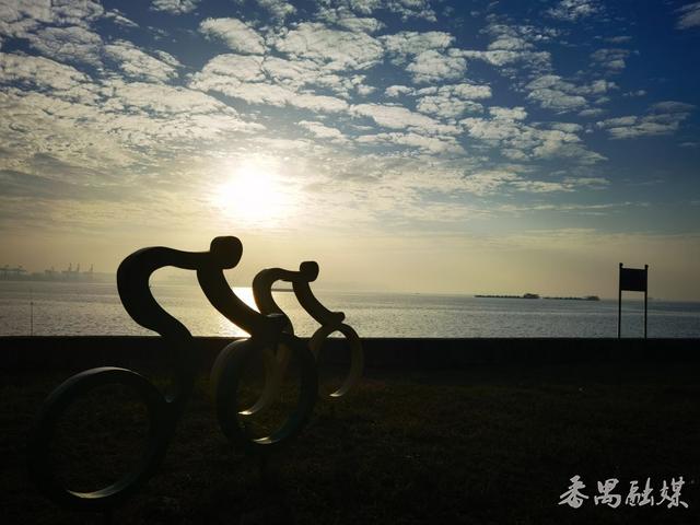 你知不知“稻”？番禺这片稻田美成了童话