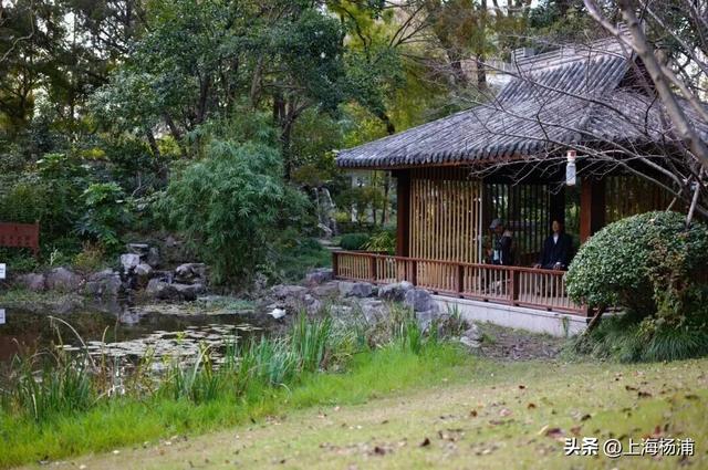 强推！这三条Citywalk路线带你畅游复兴岛和杨浦滨江