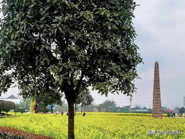 成都西边一个艺术村，73处林盘院落，适合打卡，再现“大地景观”