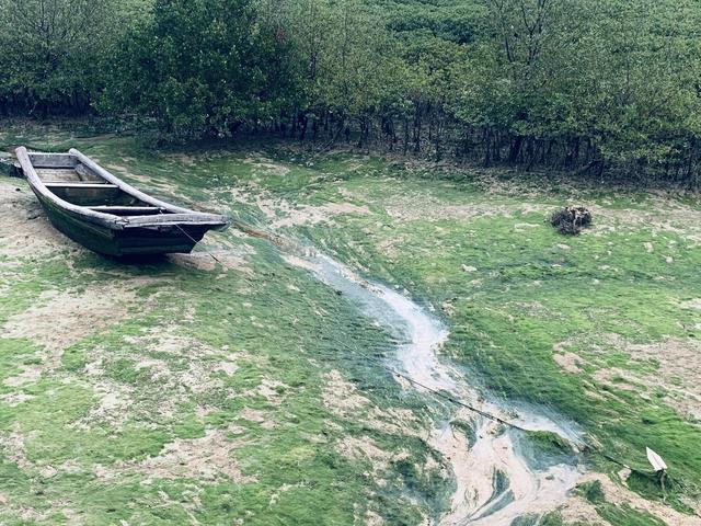 看到壮美景色，他并不觉得兴奋