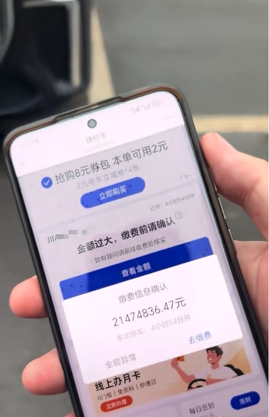 游客称在景区遭遇21474836元停车费