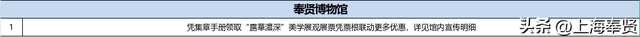 光影节，带你玩转奉贤