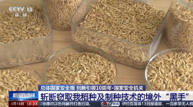 央媒通报！又一间谍行为曝光，作案手法阴险，粮食安全受威胁