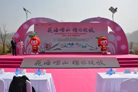 “花海崂山 樱你绽放”第二届青岛樱桃花节今日启幕 来北宅探索春日“小确幸”图片