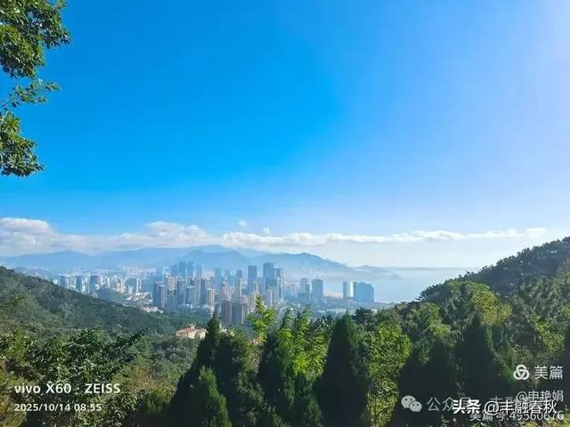 浮山漫记：藏在青岛城央的自然诗篇｜申艳娟