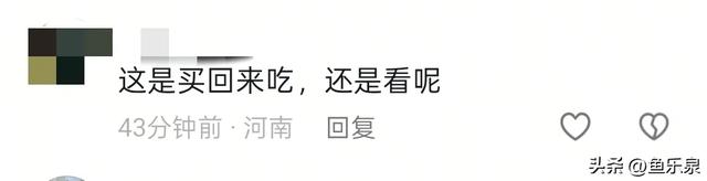 胖东来自营月饼外包装设计费花费上千万，引起网友的议论纷纷