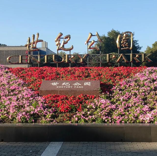 世界上只有上海浦东才有的10大奇景！全球独一无二！