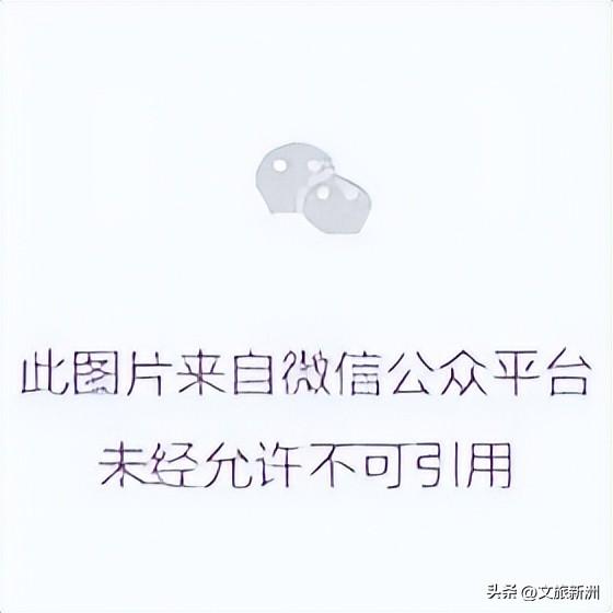 57万人次来打卡！“双节”假期新洲绽放别样精彩
