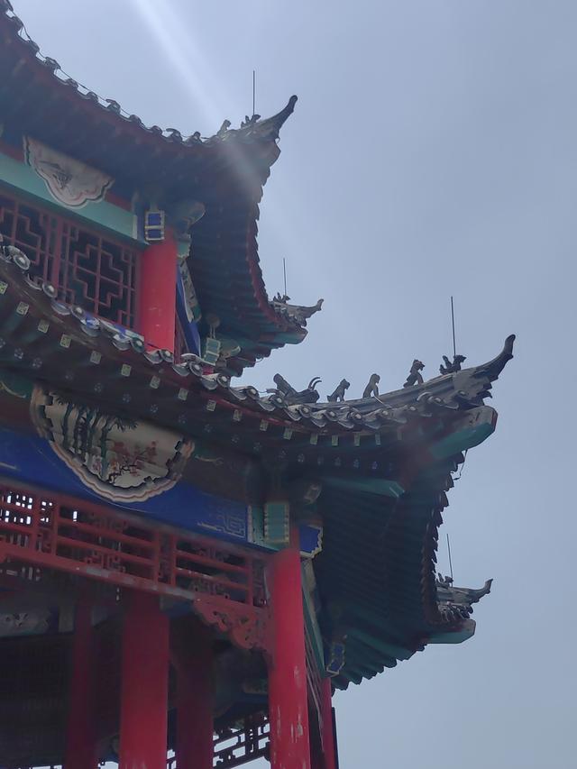 我的双城记 | 去爬山，听说山下有一棵前韩国总统栽下的树