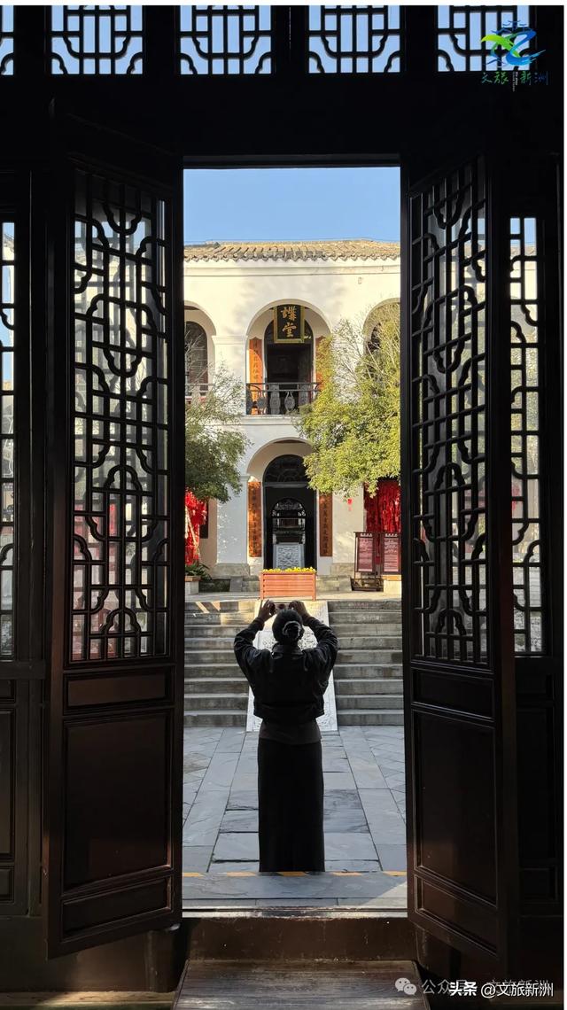 别去日本了!新洲的“同款”风景,美得更懂你