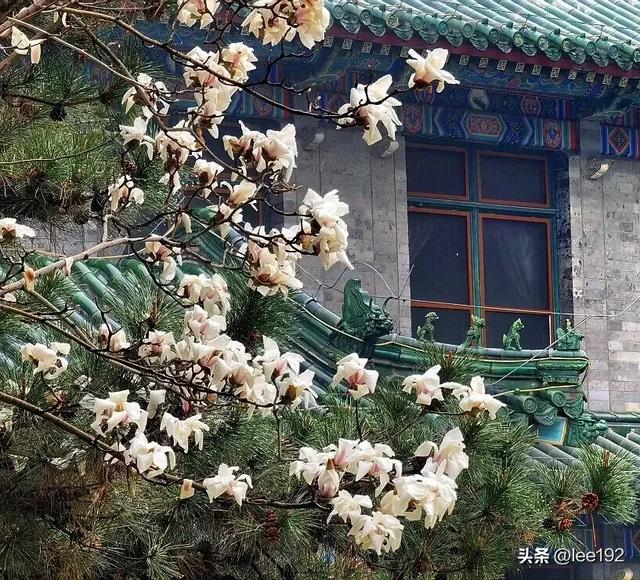 细赏王府系列之—雨中协和(49)《13》