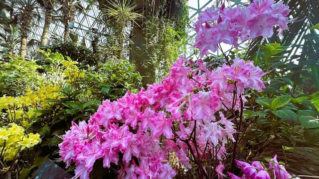 春天的打开方式，从公园徒步、赏花开启