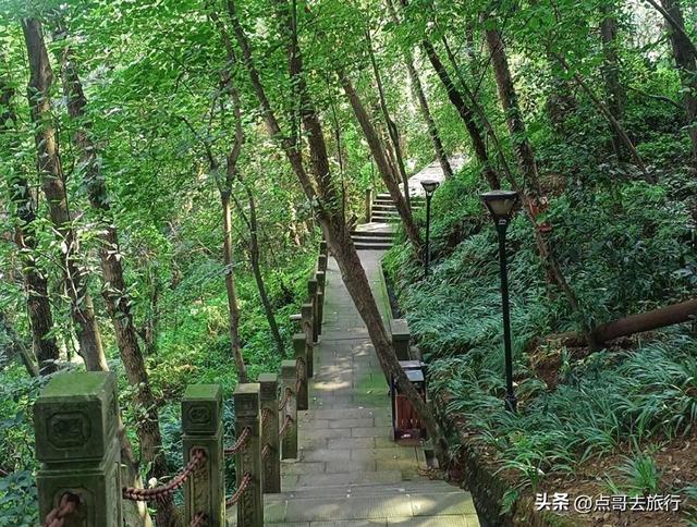 成都难得的清凉徒步胜地，在都江堰隔壁，不要门票，超级凉爽。