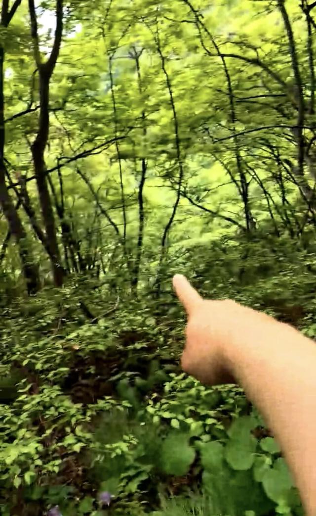“龙哥”滑坠身亡，年仅58岁，知情人：坠落处有二三层楼高，头部遭到重创，救援难度太大