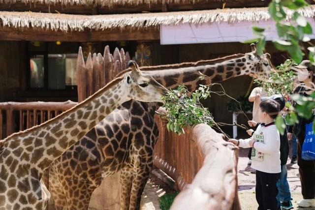 假期最后一天 宜春还能这么玩！