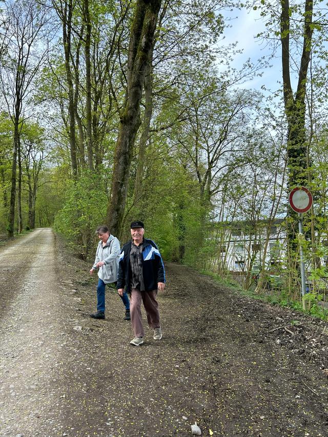 《 再见,德国 》