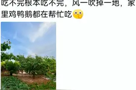 原来每个省份都有自己的噩梦！看了网友吃腻的特产，简直太嫉妒了图片