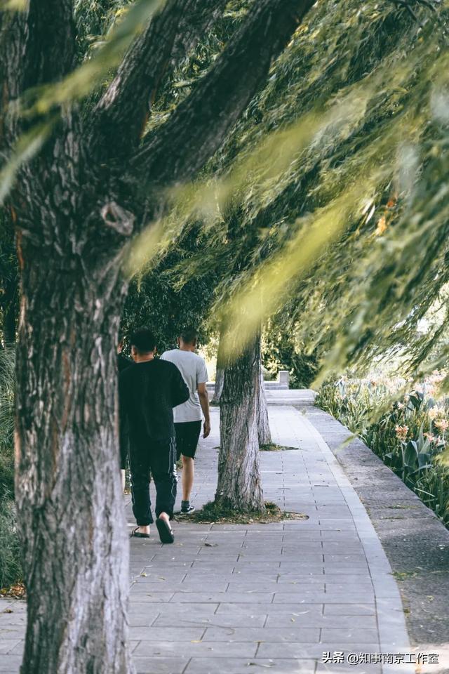 南京的这些瞬间，藏着让人舍不得离开的理由