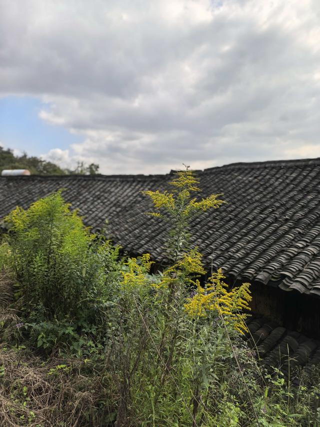 霜降时节，柿林村徒步