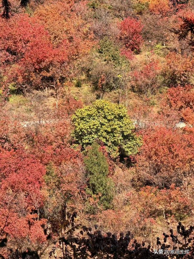 《诗经•小雅6•天保》——《诗经》札记165