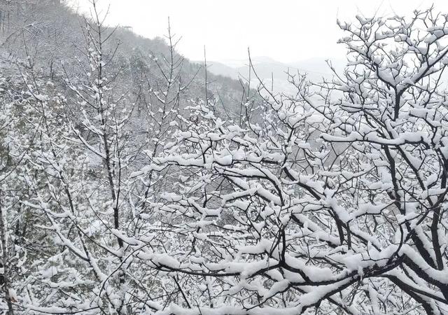 三条特色线路，共赴山亭冬日之旅