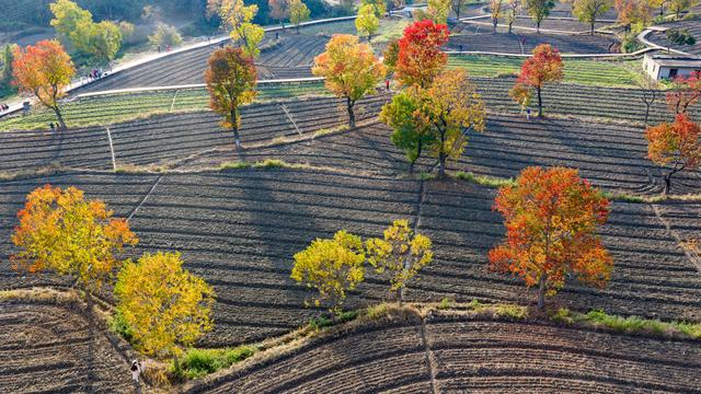 大别山中徐凤冲
