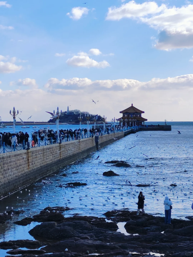 跟着影视游市南 | 《马腾你别走》！在光影里拾获青岛的温柔与热烈~