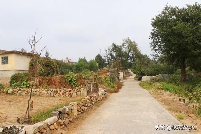 组图：牟平玉林店镇尺坎村掠影，河畔风光有特色，村里还有寿星