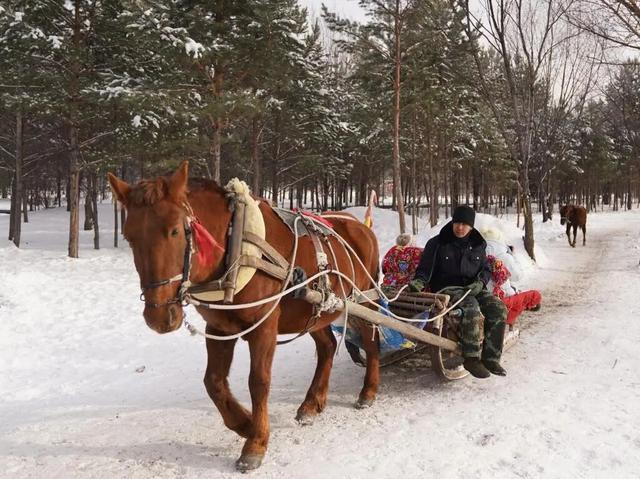 图说中国|雪落千山，解锁各地初冬诗意