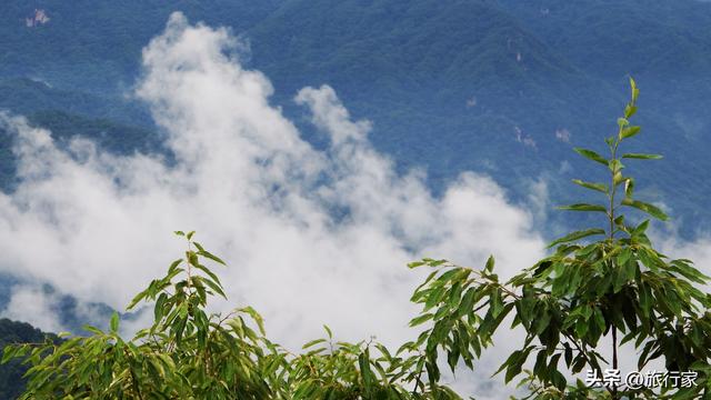 雨后，我见到了白云山上最美的云