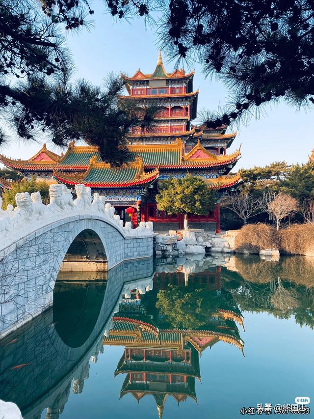 所在即为宝！烟台凭什么突然爆火？看完才懂这才是文体界的清流！