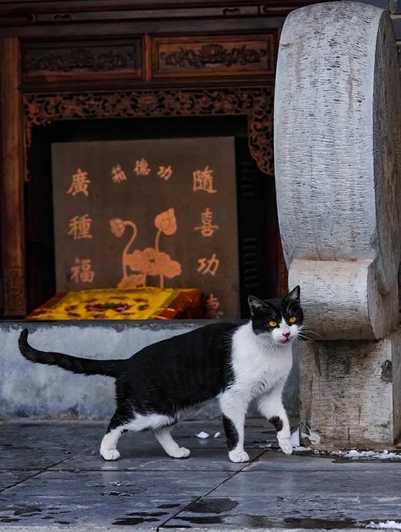 雪落女山湖,千年古镇换银装 | 嘉山秀水 自在明光