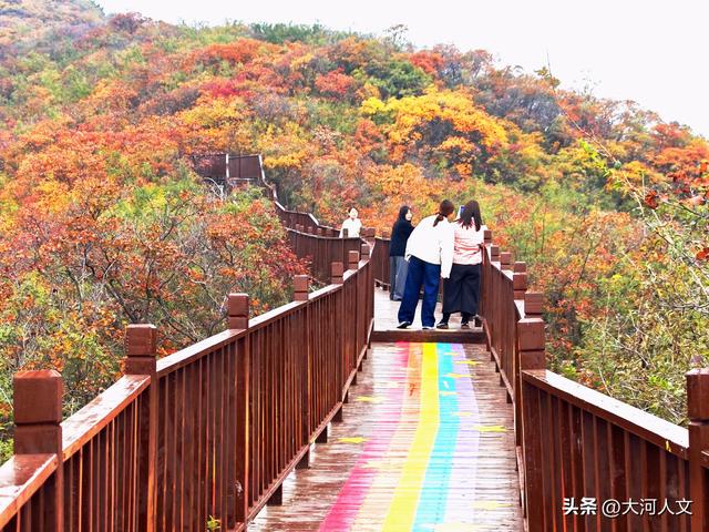 赵庄：红叶与五彩步道交织的秋日盛景