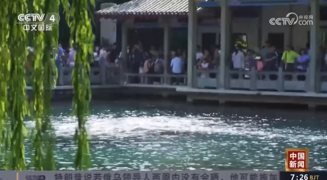 央视再次聚焦济南，这次是因为泉城特有的神奇景观！