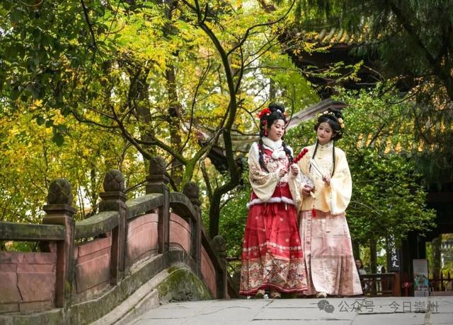 爆料！除了赏银杏，罨画池还有这些玩法~