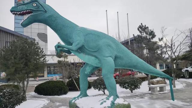 揭秘！诸城服务区为何能成为旅途中的“神秘打卡地”？