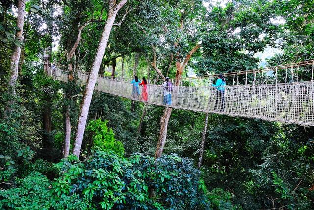 25℃冬天什么概念？这个地方告诉你：羽绒服滞销！