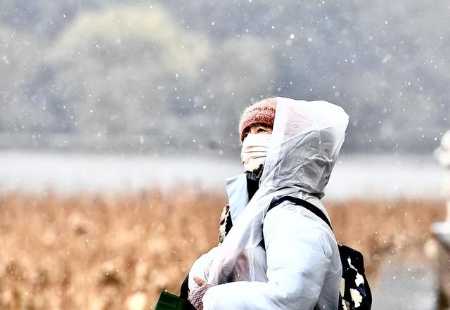 难得一见！杭州西湖今日迎来2026年第一场雪，断桥游人打卡忙