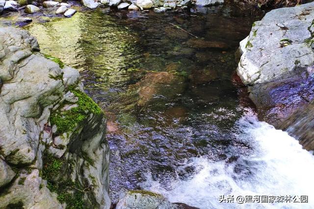 周末2h自驾消暑游,在黑河开启夏日清凉模式!