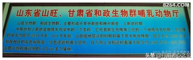 山东行游影记（27）—平邑天宇自然博物馆（二）