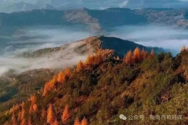 西和：云华山云海与林海重叠变幻美不胜收