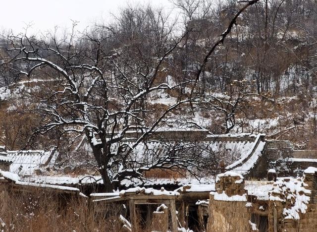 上午小雪冰雪大，下午小雪暖烘烘。今年小雪是啥情况？早了解