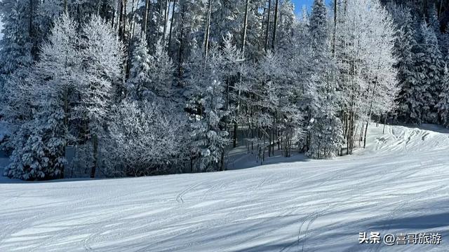 冰雪之北的童话邀约:漠河北极圣诞滑雪场