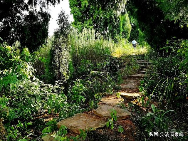 古道溯风，庐溪怀韵——老黄圃纪行