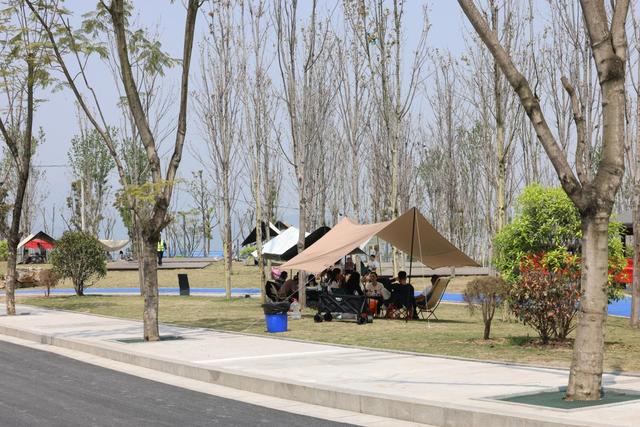 重庆中央公园片区滨水公园+1！包含八大主题景点