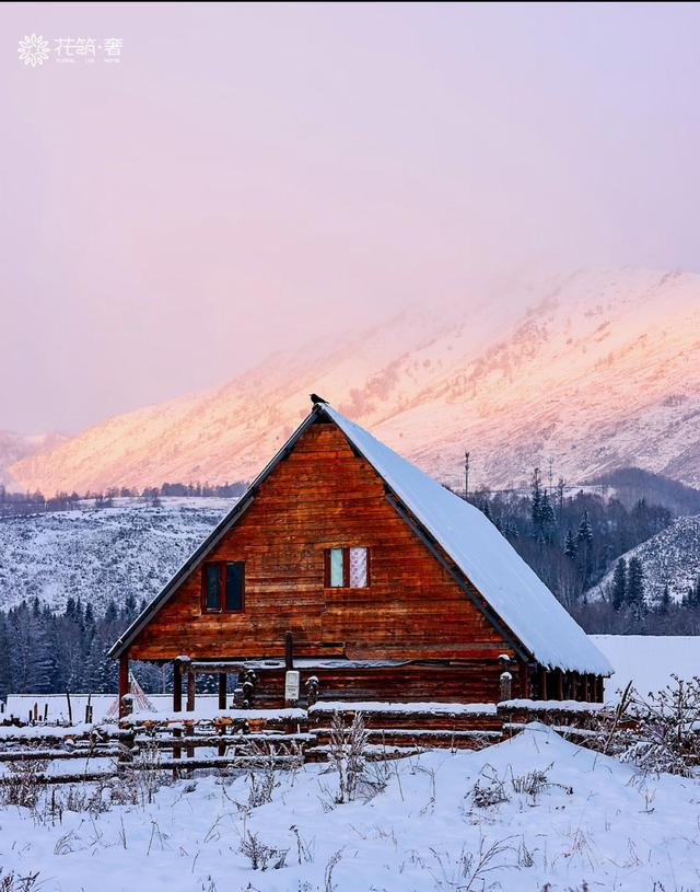 阿勒泰冬日仙境，雪域精灵跳跃，我被这片童话世界震撼了