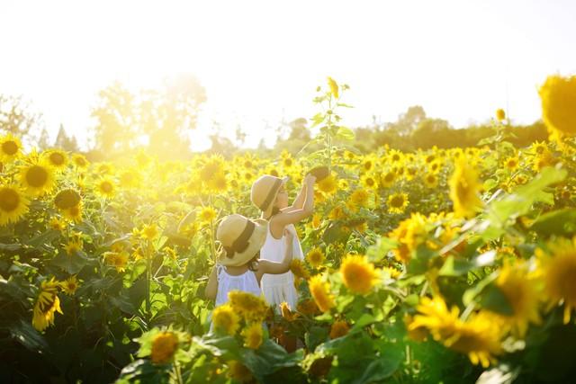 帮美女邻居抓老鼠，我钻进床下，却发现了一地的“玩具”