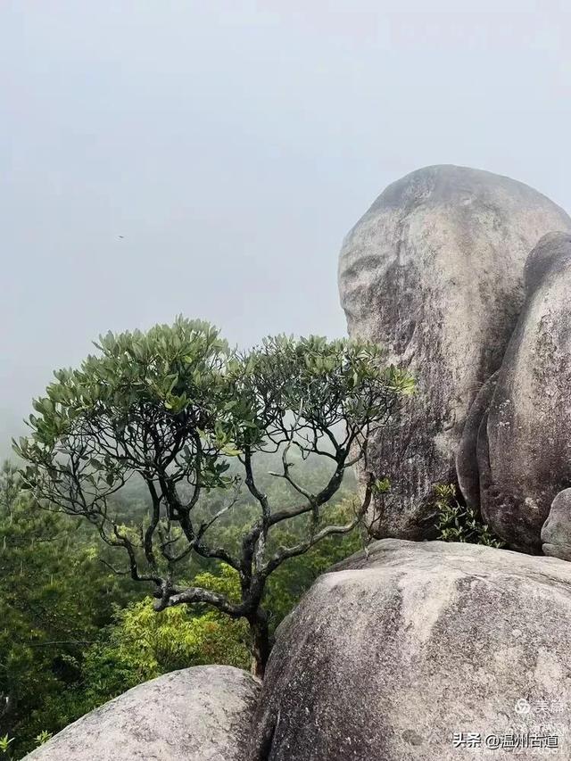 浙江隐藏一座“小黄山”,风光绝美还没门票,秋日徒步好去处!