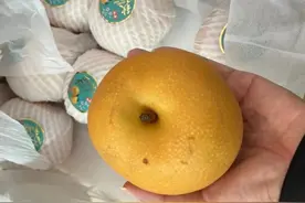 价格大跳水！不少人秋天润肺去燥就靠它图片