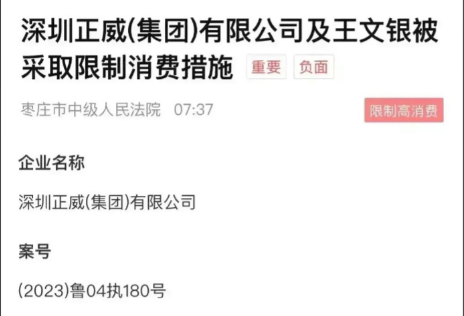 第二个“恒大”出现了！年收入超6000亿，这下许家印可不孤单了